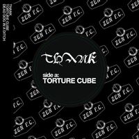 TORTURE CUBE / DEAD DOG IN A DITCH