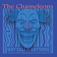 WHY CALL IT ANYTHING (2023 reissue)