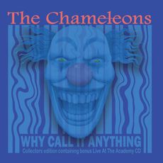 WHY CALL IT ANYTHING (2023 reissue)