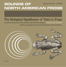 Sounds of North American Frogs (2023 reissue)