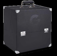 LP storage case with double hinged flaps