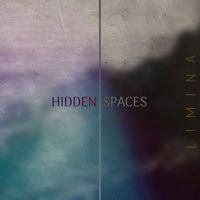 Hidden Spaces (White Vinyl)