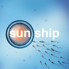 The Sun Ship