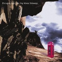 The Sky Moves Sideways (2017 reissue)