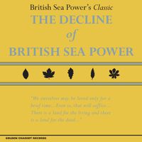 the decline of british sea power (Reissue)