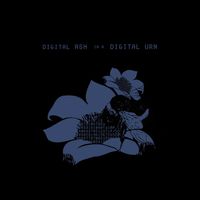 Digital Ash in a Digital Urn (2022 reissue)