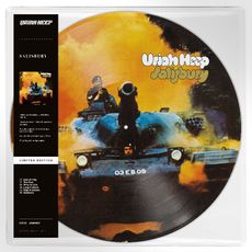 Salisbury (limited picture disc edition)