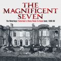 THE MAGNIFICENT SEVEN: The Waterboys Fisherman's Blues/Room To Roam band, 1989-90