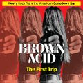 BROWN ACID - THE FIRST TRIP
