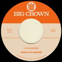 I Can Remember / Sitting In The Park (2022 reissue)