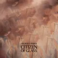 Citizen of Glass (Bargains Campaign)