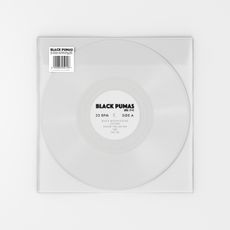 Black Pumas (love record stores 2021)
