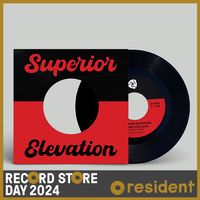 Giving You Love / Sassy Lady (RSD 24)