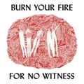burn your fire for no witness