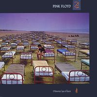 a momentary lapse of reason (2017 reissue)