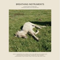 Breathing Instruments