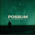 Possum (original soundtrack)